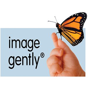 IMAGE GENTLY -logo6