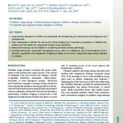 Large Airways article 2025